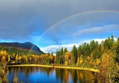 Сиделка в Швеции